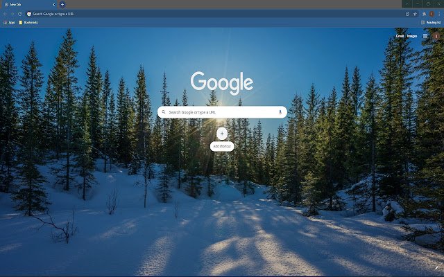 Winter Forest HD Wallpaper Theme from Chrome web store to be run with OffiDocs Chromium online